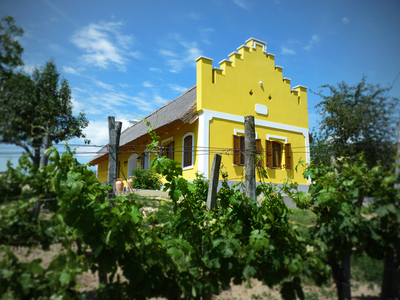 Toszkán életérzés