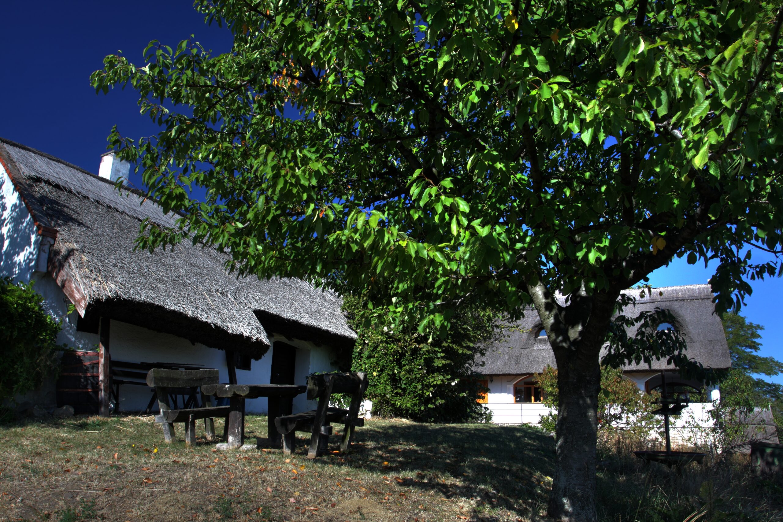 Nádfedeles ház a hegytetőn